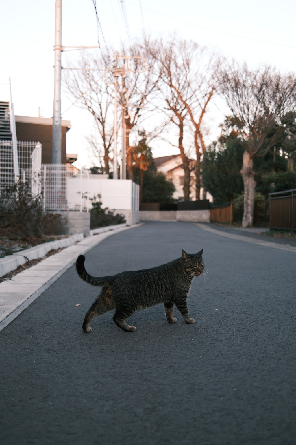 メイン投稿画像