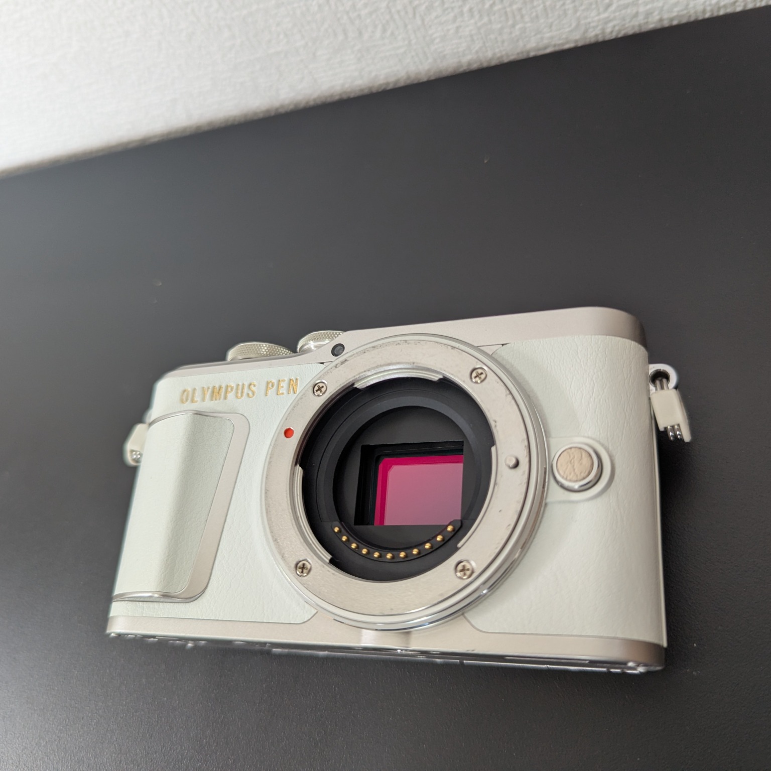 OLYMPUS PEN E-PL9 EZダブルズームキット 