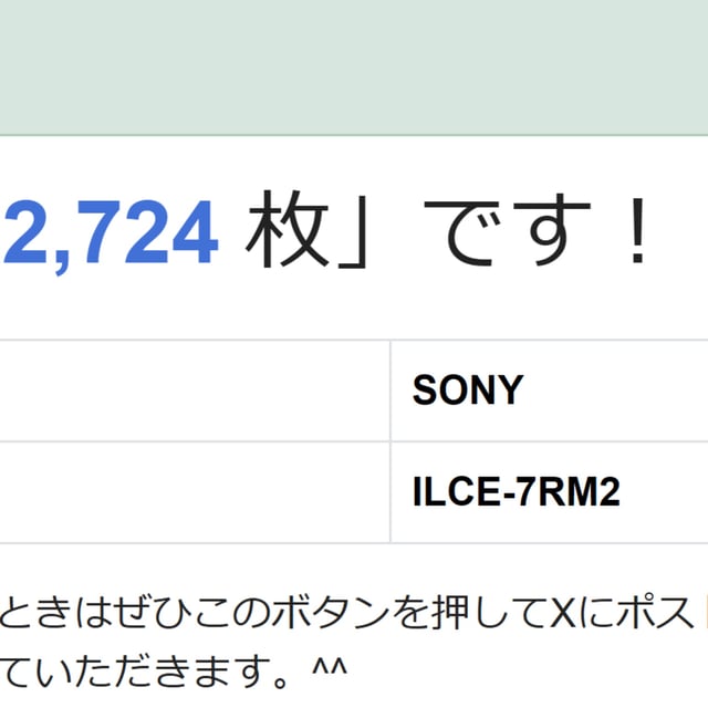 α7R II ILCE-7RM2 ボディ