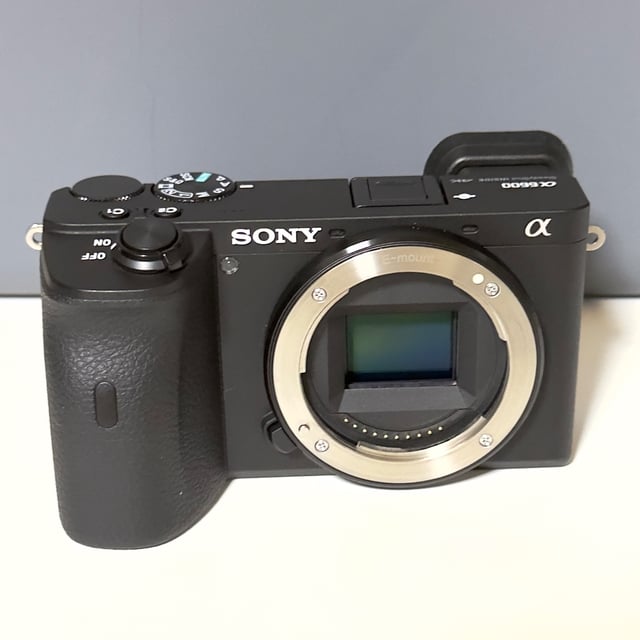 α6600 ILCE-6600 ボディ