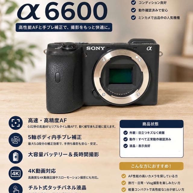 α6600 ILCE-6600 ボディ