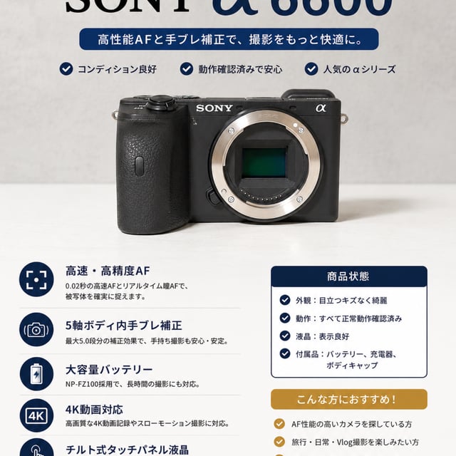 α6600 ILCE-6600 ボディ