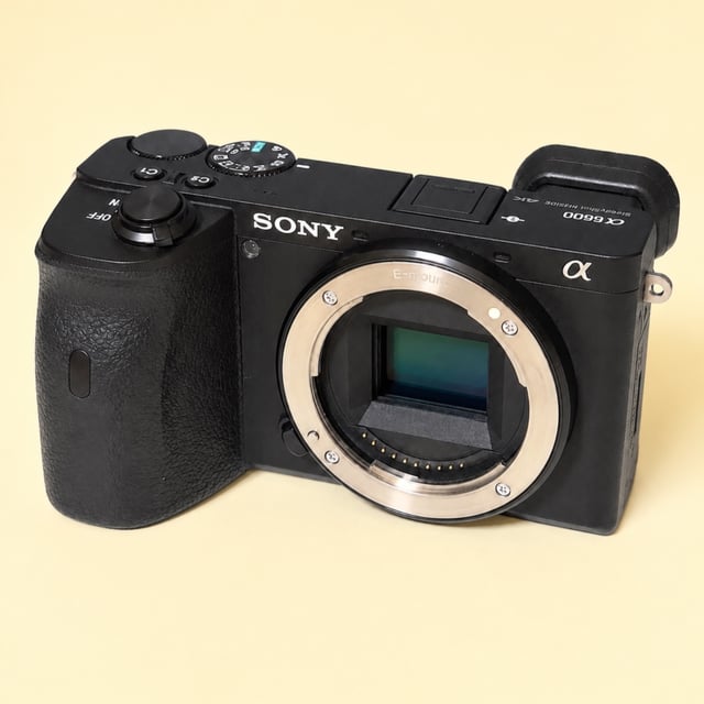 α6600 ILCE-6600 ボディ