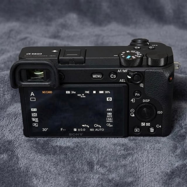 α6600 ILCE-6600 ボディ