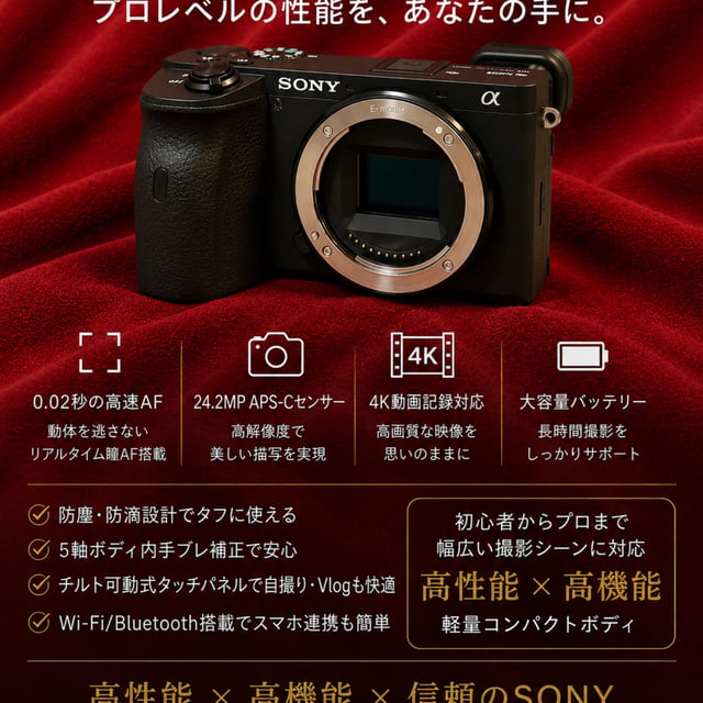 α6600 ILCE-6600 ボディ