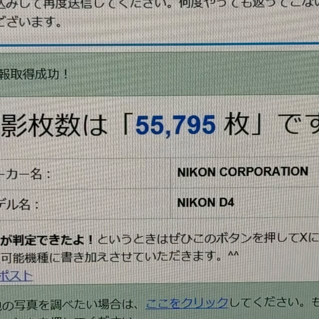 D4 ボディ