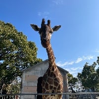 ユーザーアイコン