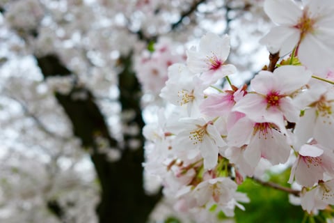 雨の止んだタイミングを縫って滑り込み…!