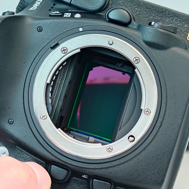 D800 ボディ