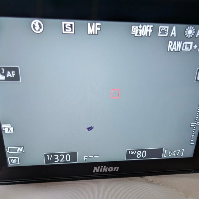Z7II ボディ