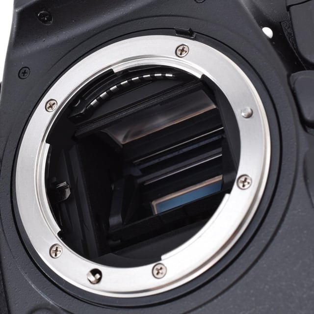 D500 ボディ