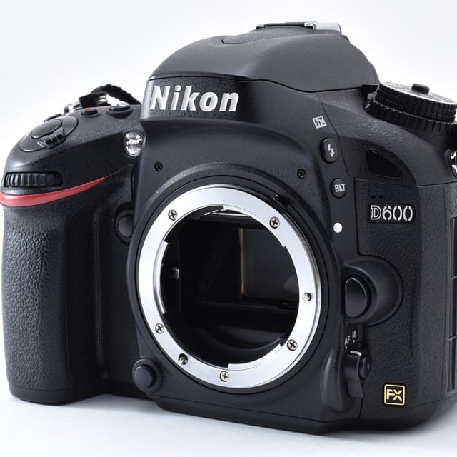 D600 ボディ