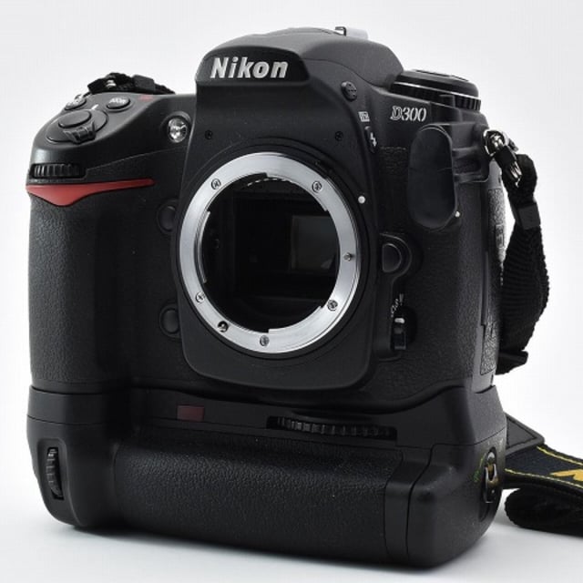 D300 ボディ