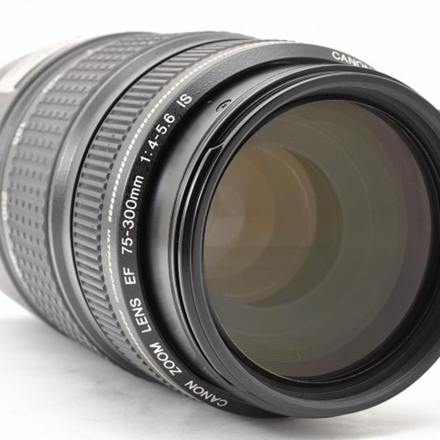 EF 75-300mm F4-5.6 IS USM