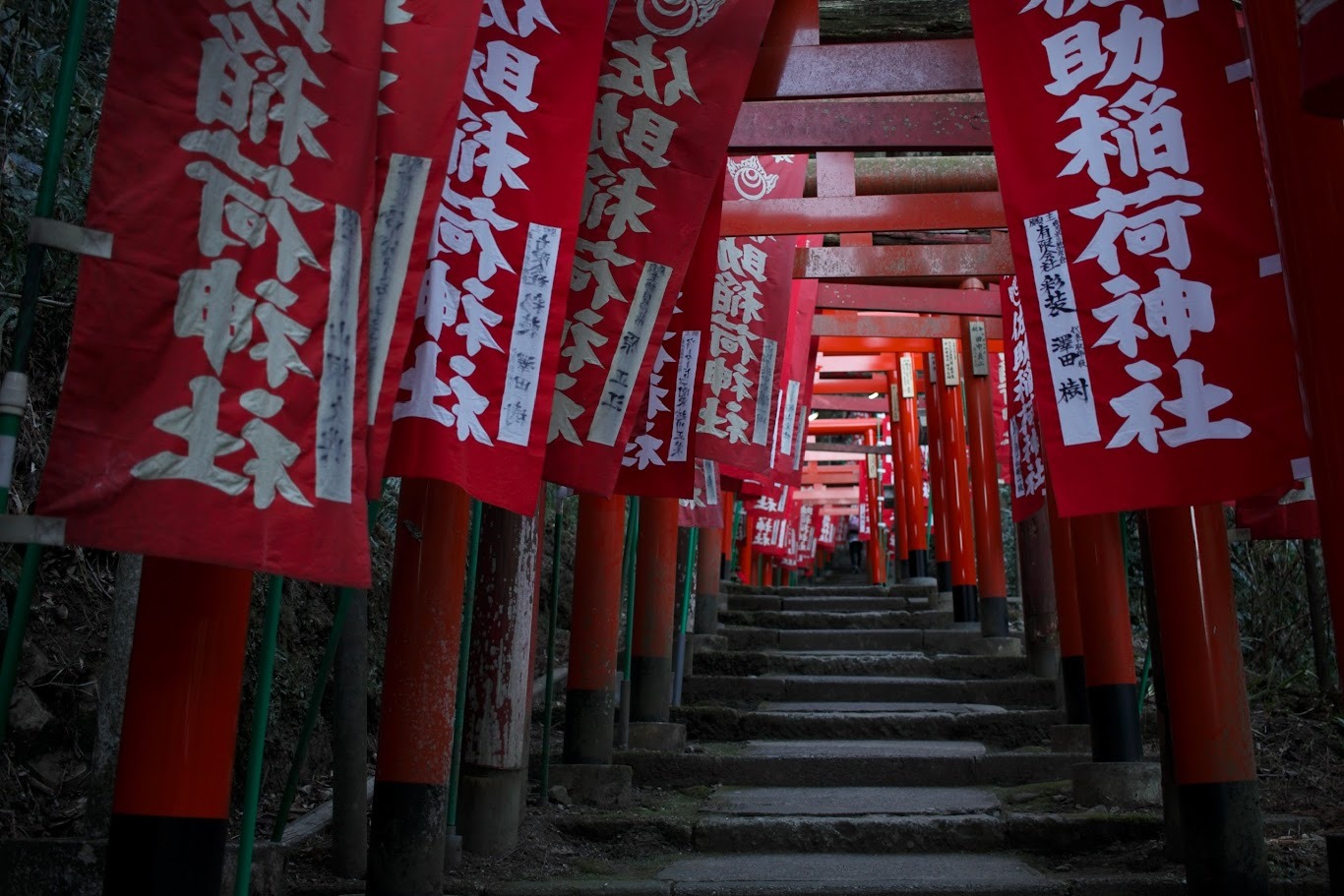 投稿画像 5