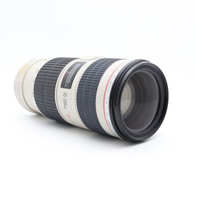 EF 70-300mm F4-5.6L IS USM