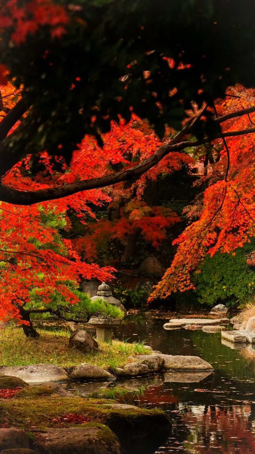 投稿画像 7