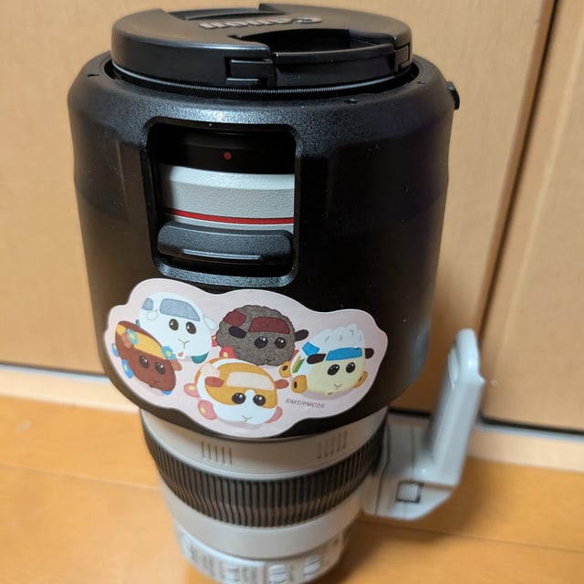 EF 100-400mm F4.5-5.6L IS II USM