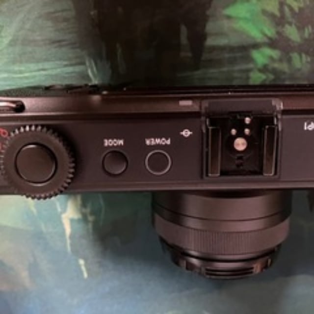 SIGMA DP1 Merrill