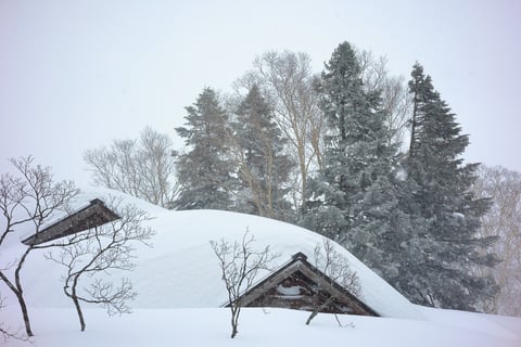 今年初めの青森、酸ヶ湯温泉近辺で撮影