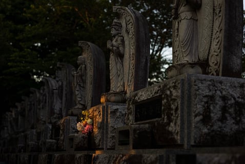 夕陽に照らされる彩