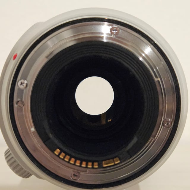 EF 100-400mm F4.5-5.6L IS II USM