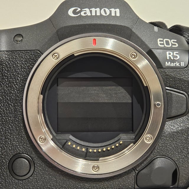 EOS R5 Mark II ボディ