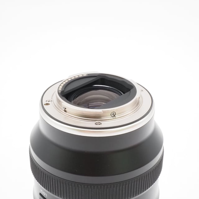 28-300mm F/4-7.1 Di III VC VXD