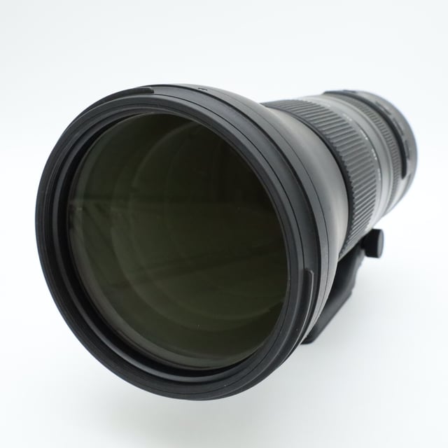 SP 150-600mm F/5-6.3 Di VC USD G2 ニコン用