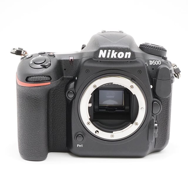 D500 ボディ