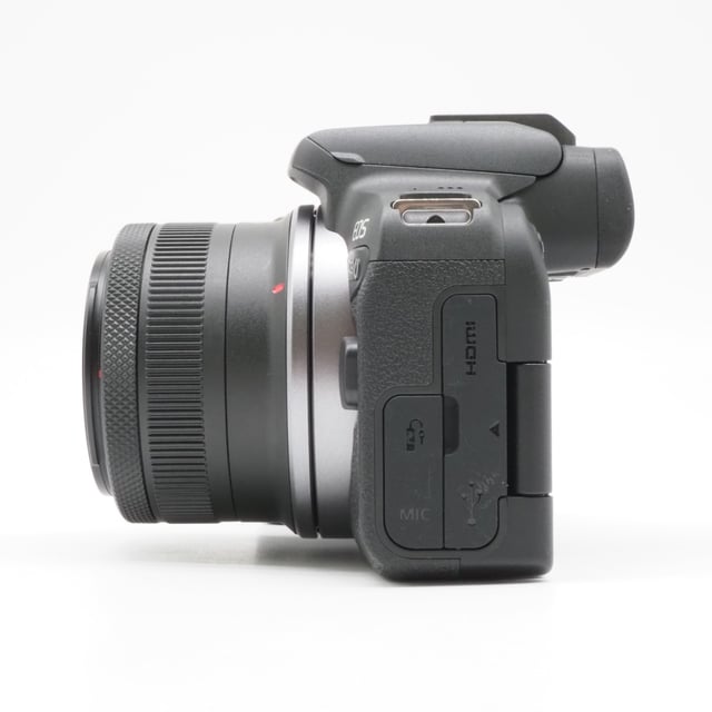 EOS R10 RF-S18-45 IS STM レンズキット