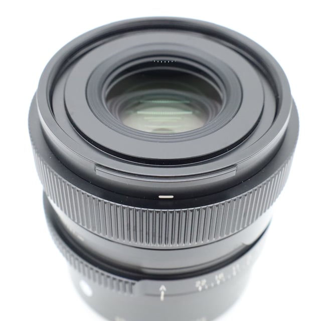 50mm F2 DG DN ソニーE用