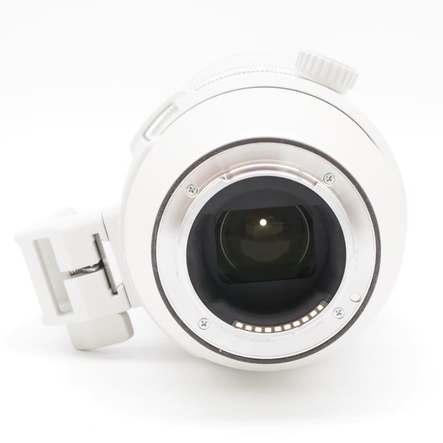 FE 200-600mm F5.6-6.3 G OSS SEL200600G