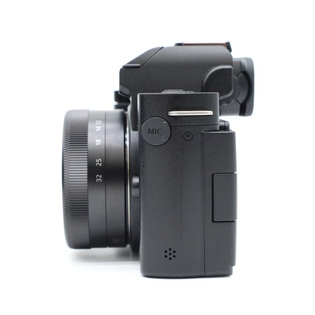 LUMIX G100D(DC-G100DW) ダブルズームレンズキット