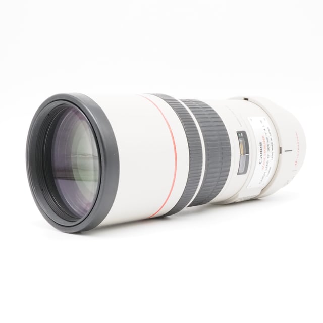 EF 300mm F4L IS USM