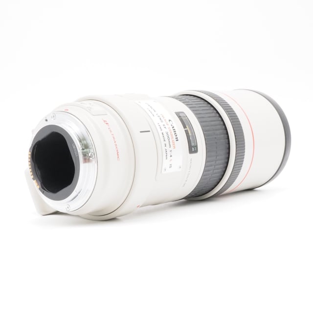 EF 300mm F4L IS USM