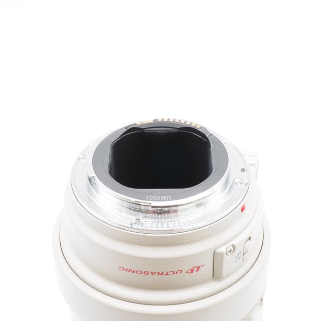 EF 300mm F4L IS USM