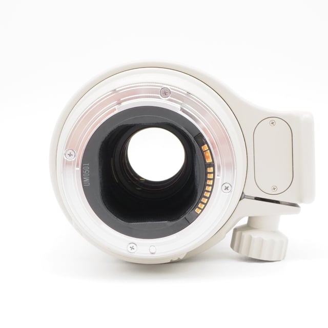 EF 300mm F4L IS USM