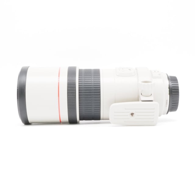 EF 300mm F4L IS USM