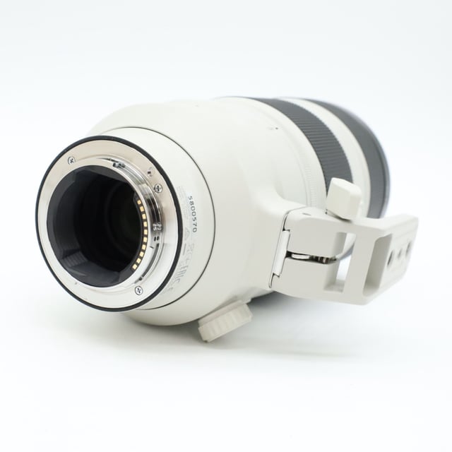 FE 100-400mm F4.5-5.6 GM OSS SEL100400GM