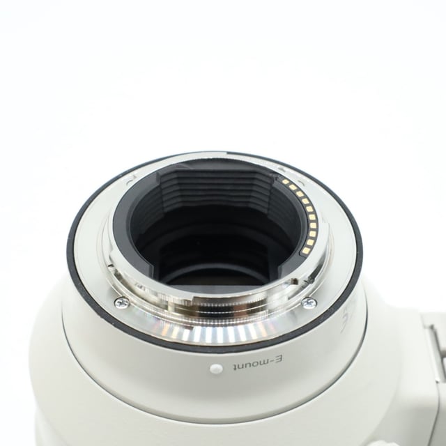 FE 100-400mm F4.5-5.6 GM OSS SEL100400GM