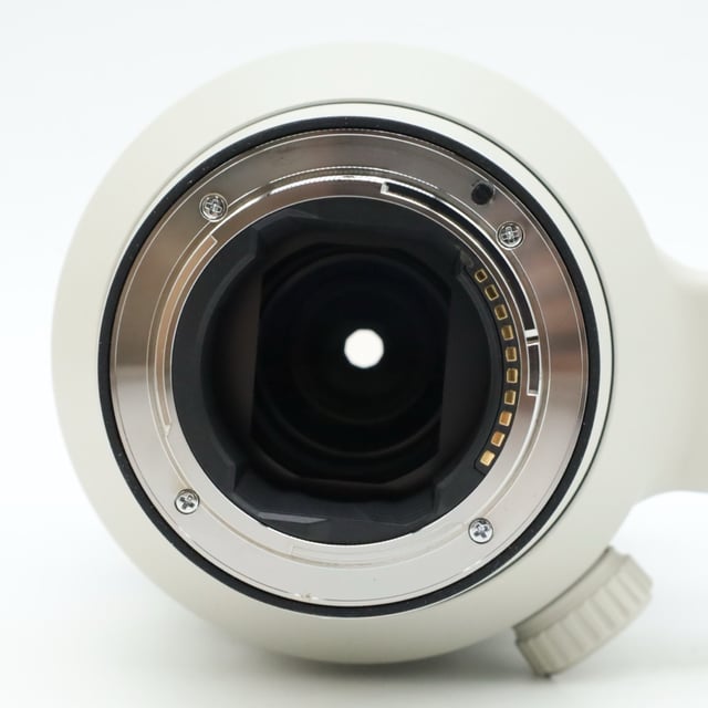 FE 100-400mm F4.5-5.6 GM OSS SEL100400GM