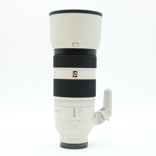 FE 100-400mm F4.5-5.6 GM OSS SEL100400GM