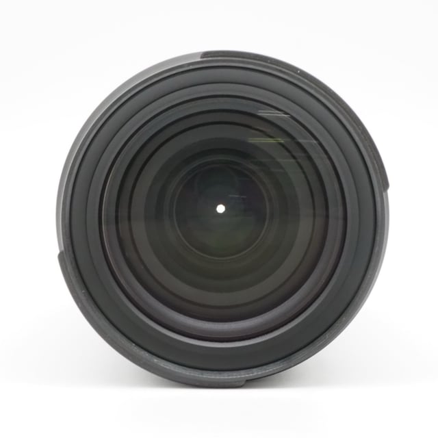 28-200mm F/2.8-5.6 Di III RXD ソニーE用
