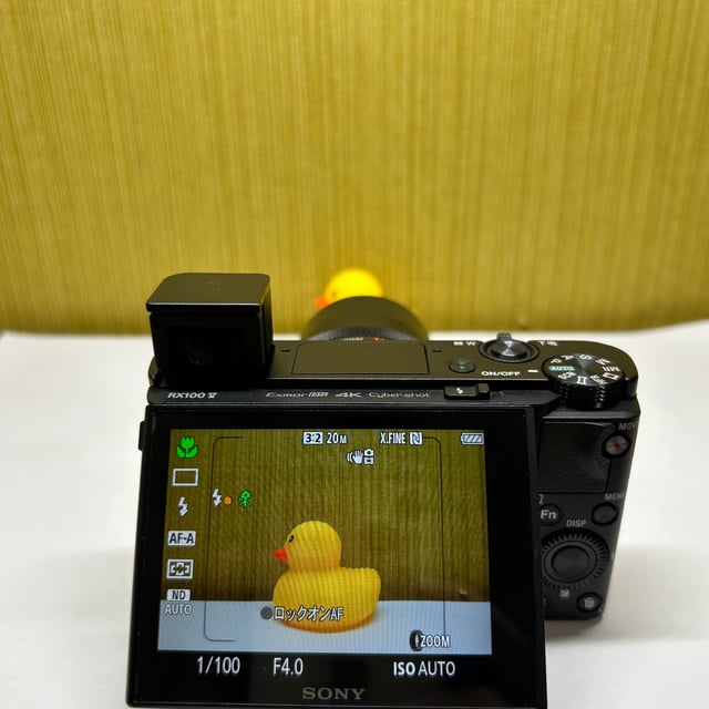 サイバーショット RX100 VA(DSC-RX100M5A)