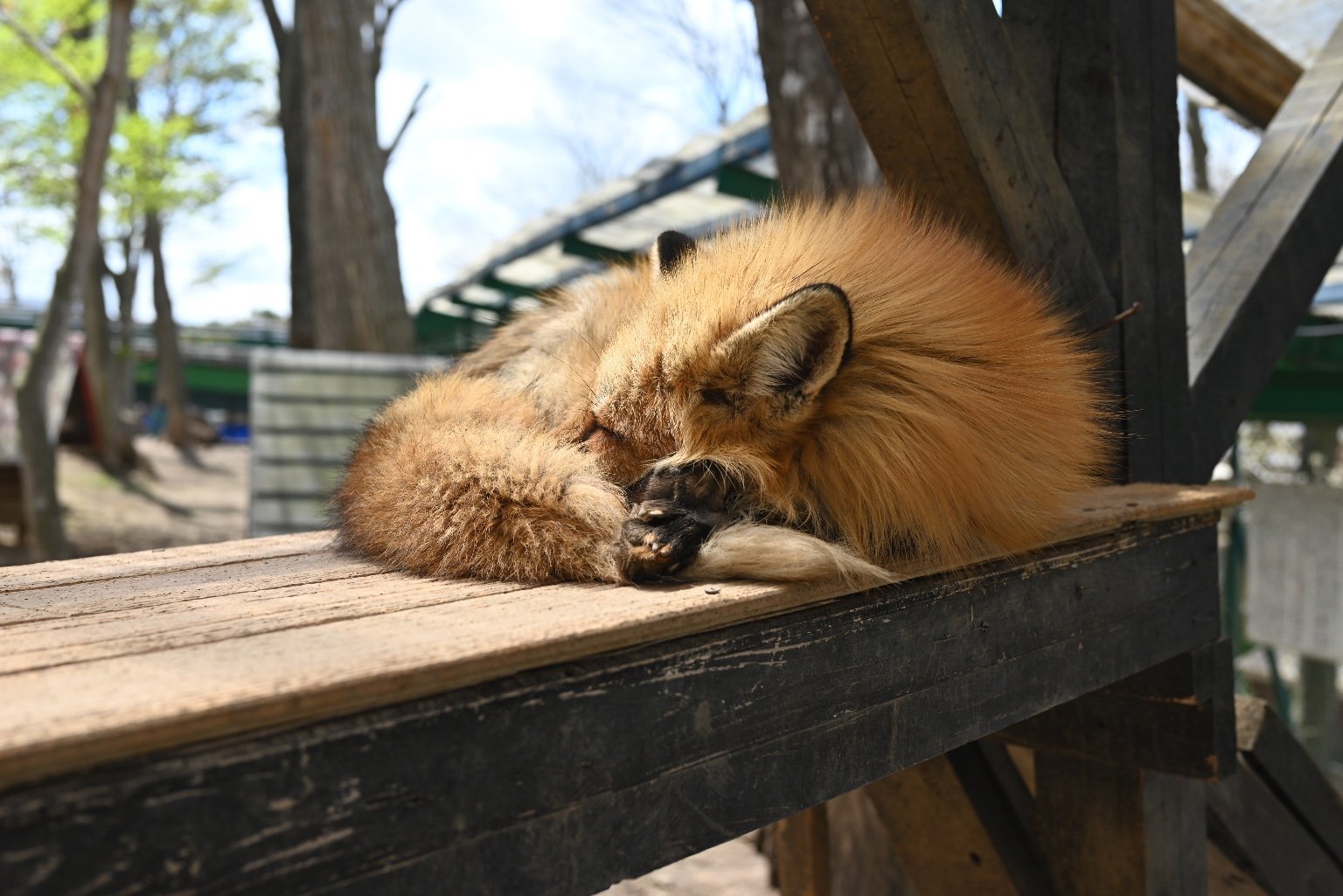 メイン投稿画像