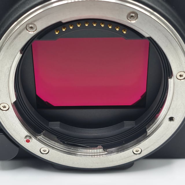 SIGMA fp L ボディ