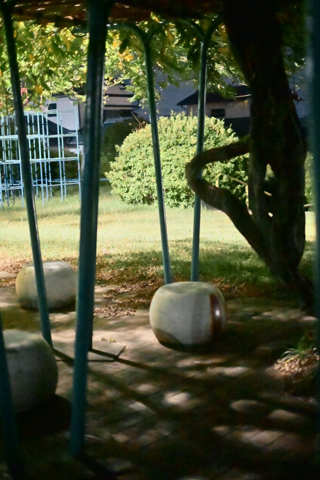 メイン投稿画像