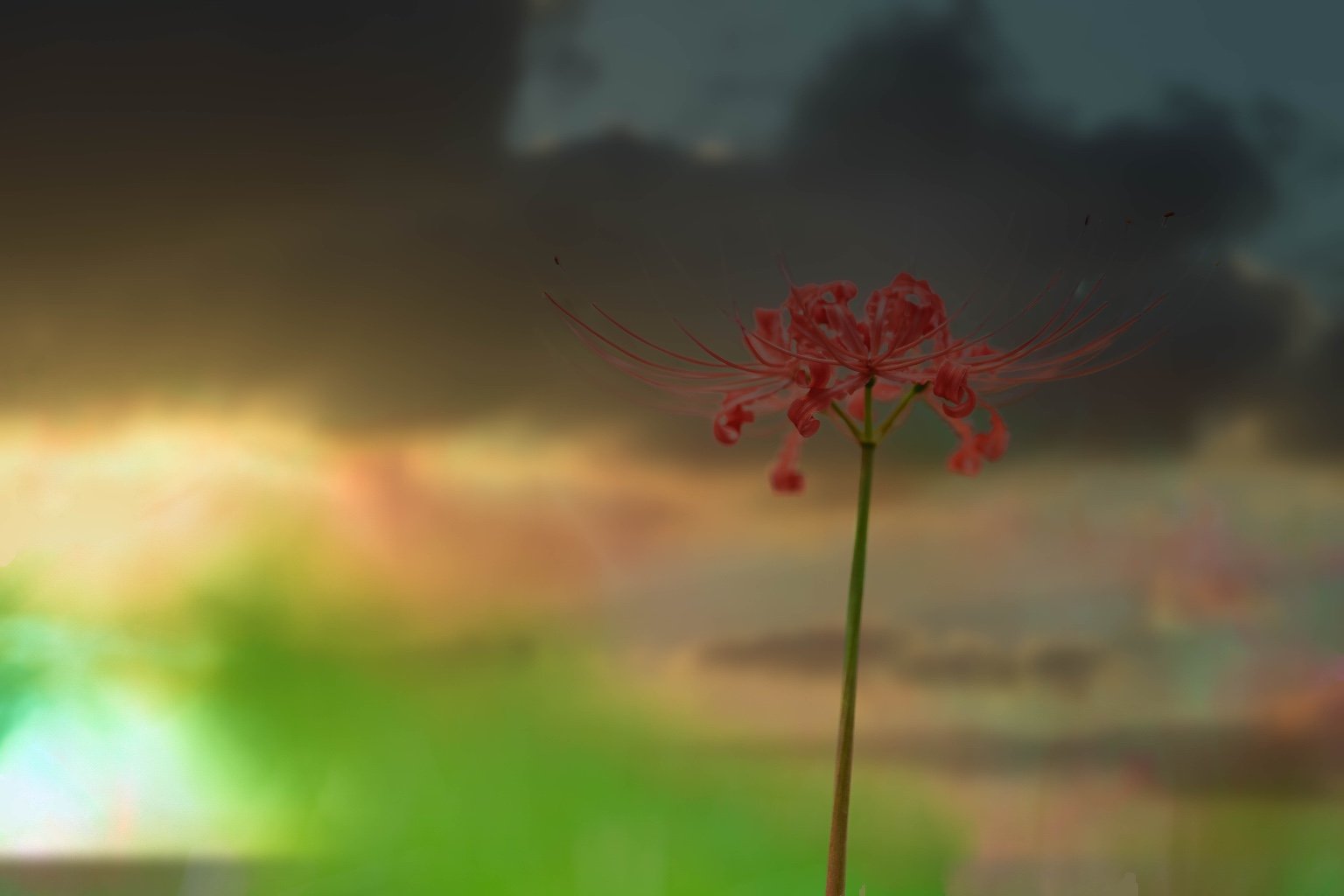 投稿画像 4