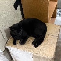 ユーザーアイコン